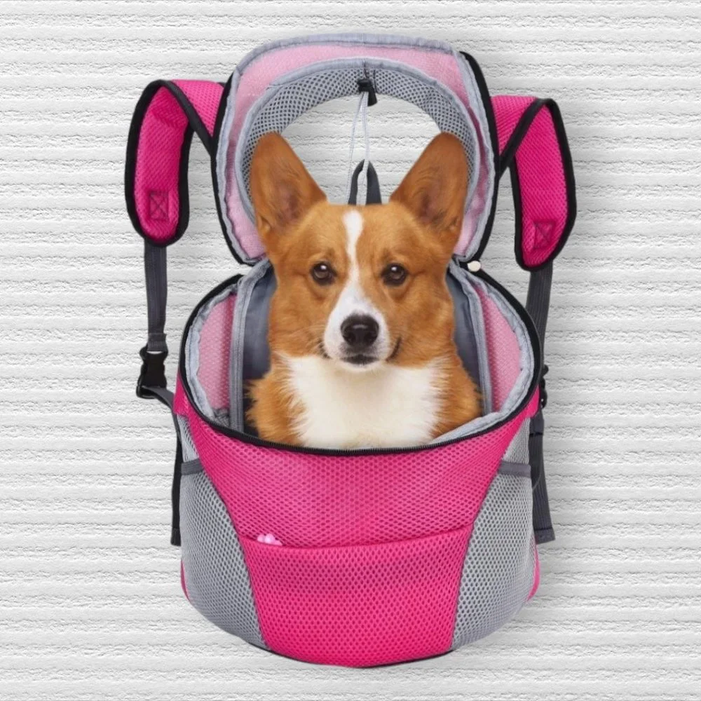 Pink Pet Carrier 